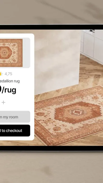 Catalog photos turned into AR rug previews automatically