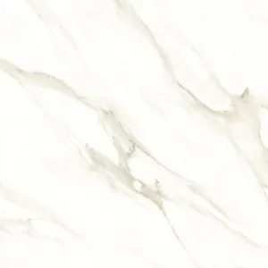 Casini Carrara — opens the live widget